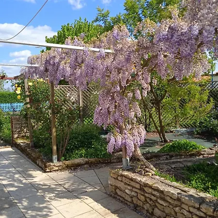 Pop - La Note Bleue Apartmán *